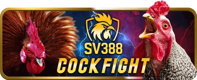 Ưu đãi hoàn trả và VIP